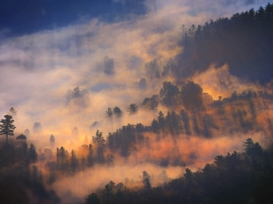 Colorized landscape photo produced by QuietPix
