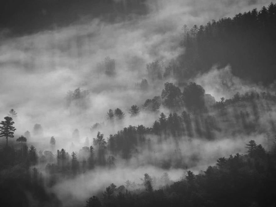 The same landscape photo in black and white